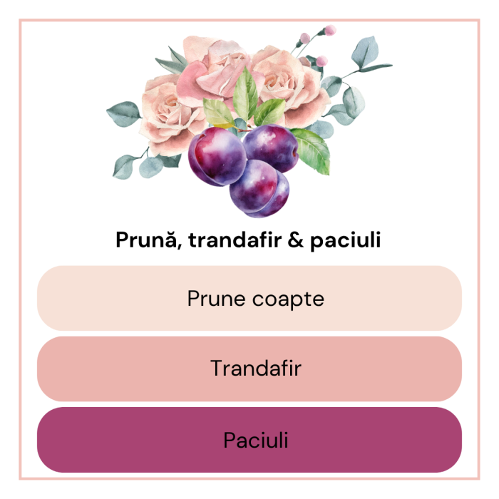 DARK SERENITY BOX, Plum, rose & patchouli, pachet cadou cu lumanare parfumata 70g, wax melt 80g, difuzor ceramic, lumanari pastila, Solara Candles - Copie [6]