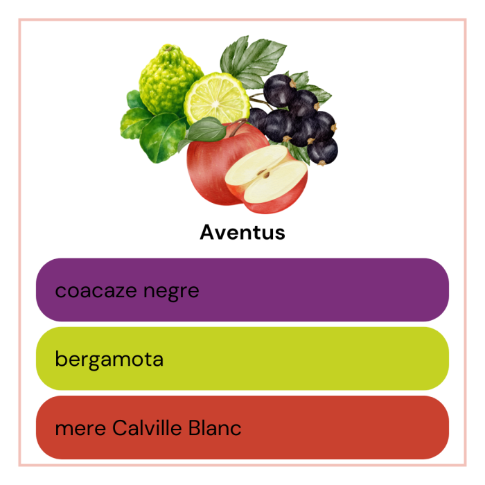 Difuzor de Cameră cu Bețișoare AVENTUS – coacaze negre, bergamota, mere | 100 ml [4]