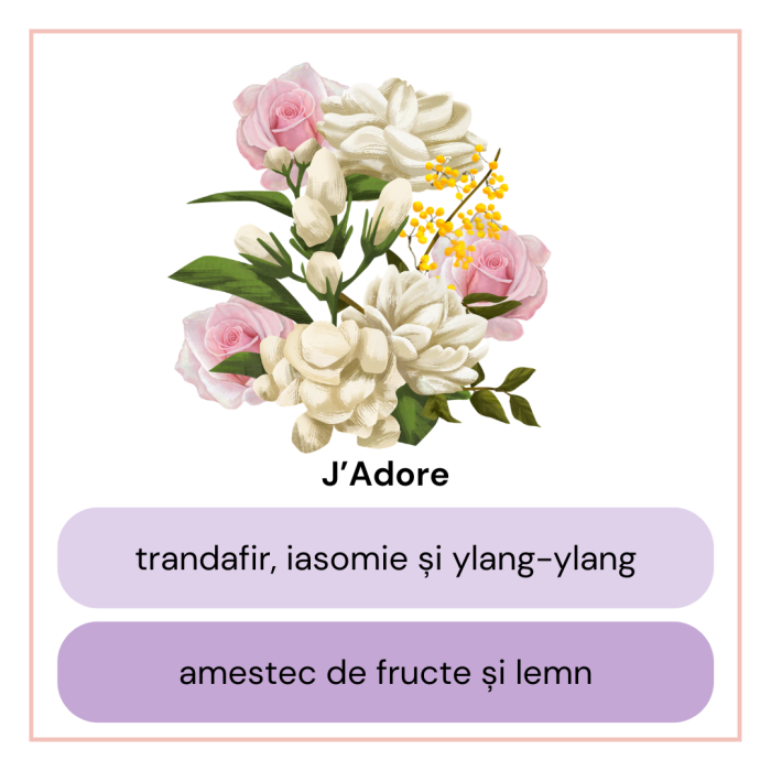 Difuzor de Cameră cu Bețișoare J'adore – Aromă Florală, Trandafir & Iasomie | 100 ml [3]
