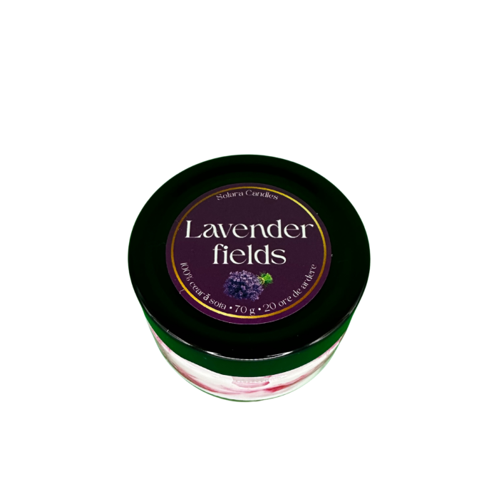 Lumanare parfumata din ceara de soia intr-un recipient de sticla [2]