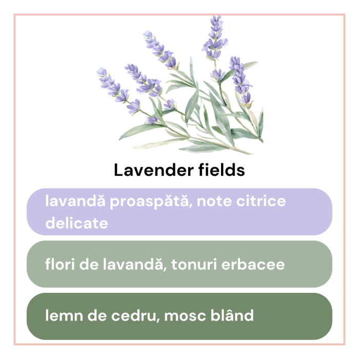 Lumanare parfumata din ceara de soia intr-un recipient de sticla [10]