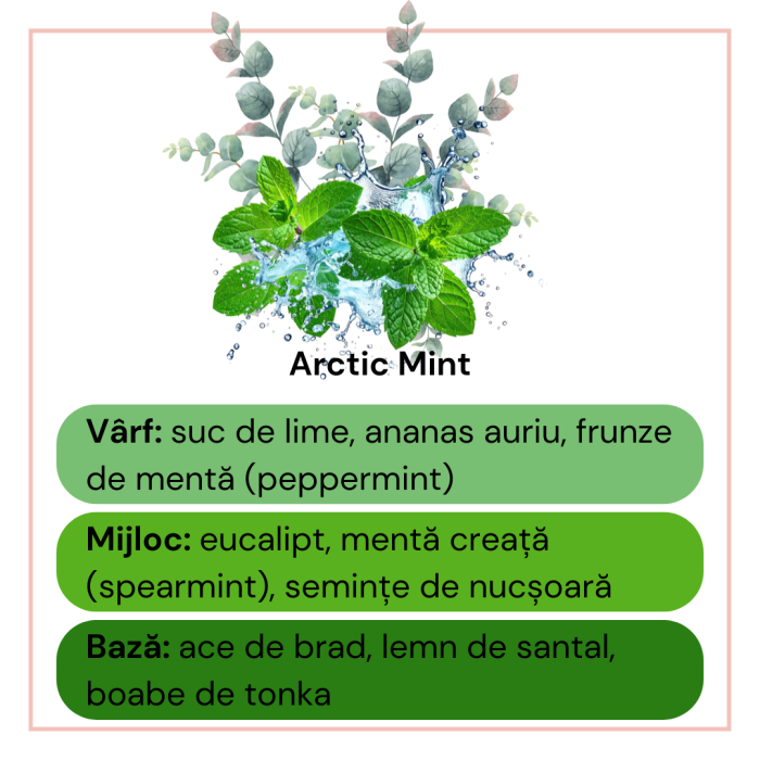Odorizant auto natural menta si eucalipt 12ml recipient mic elegant, uleiuri IFRA, Solara Candles Cluj-Napoca [5]