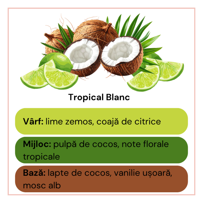 Odorizant auto natural cocos si lime 8ml recipient mic elegant, uleiuri IFRA, Solara Candles Cluj-Napoca [6]