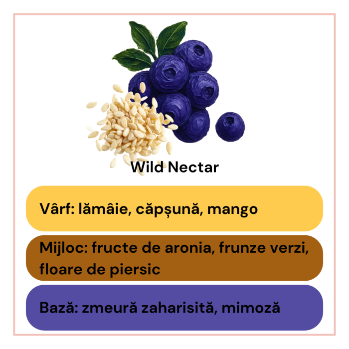 Odorizant auto natural fructe aronia si seminte de canepa 12ml recipient mic elegant, uleiuri IFRA, Solara Candles Cluj-Napoca [4]