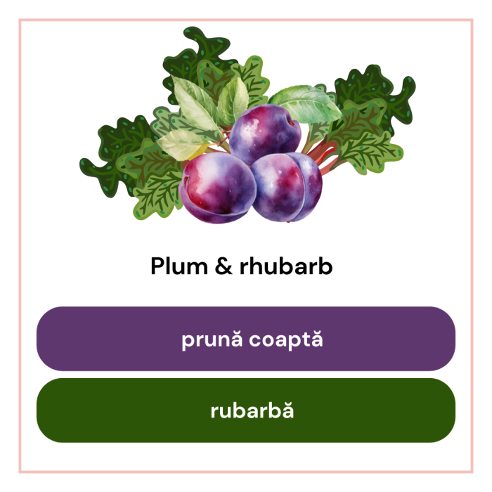 Difuzor de Cameră cu Bețișoare Plum & rhubarb – pruna si rubarba | 100 ml [3]
