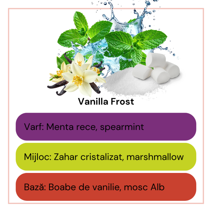 Difuzor de Cameră cu Bețișoare Vanilla Frost – Mentă & Vanilie | 100 ml [2]