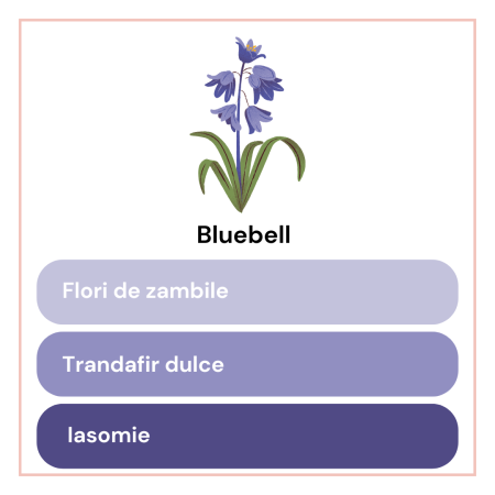 Lumanare parfumata din ceara de soia intr-un recipient colorat in stil marocan [6]