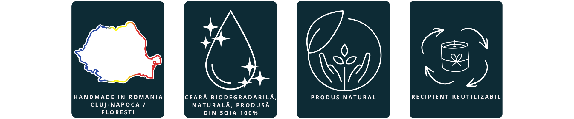 Desktop BIO Banner