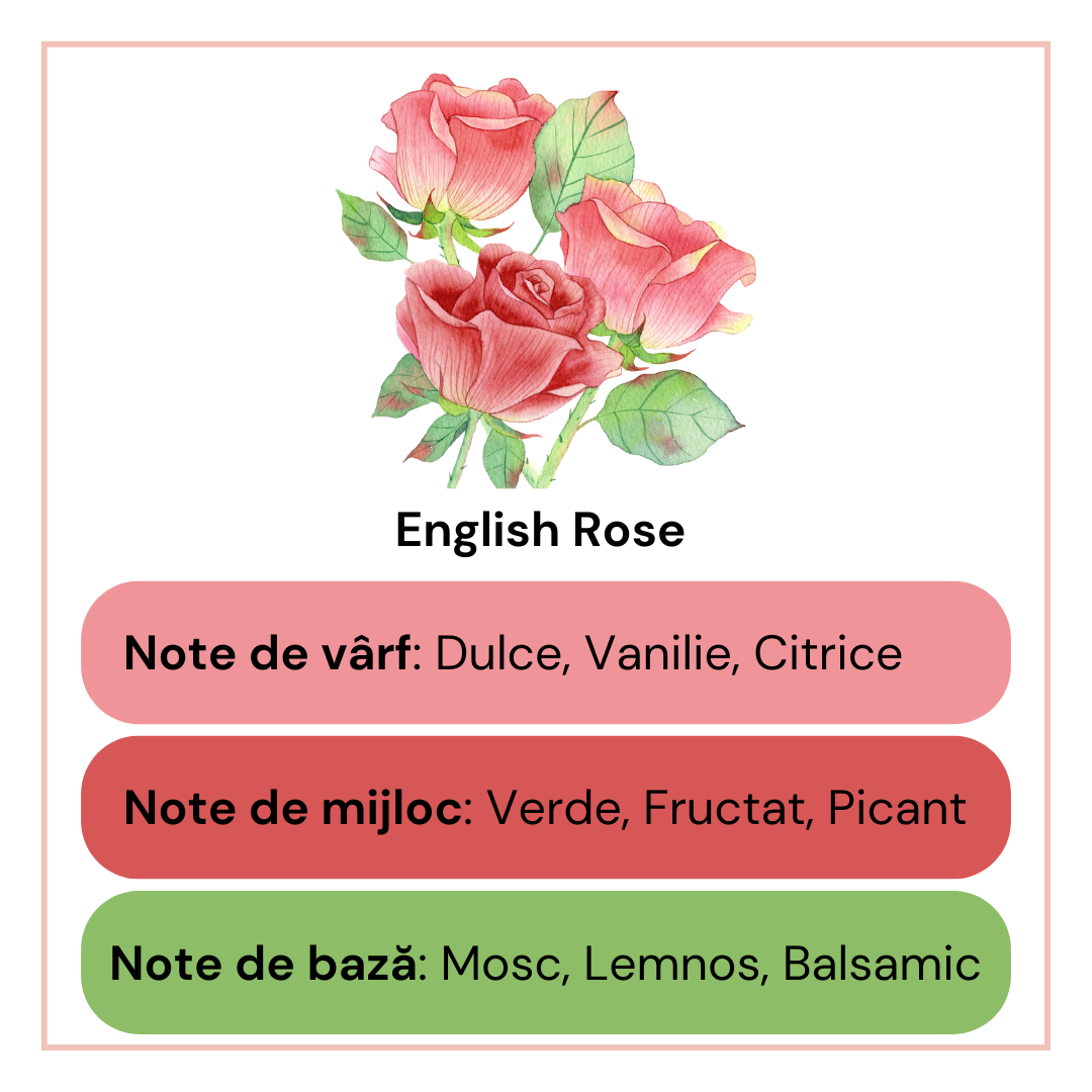 English Rose