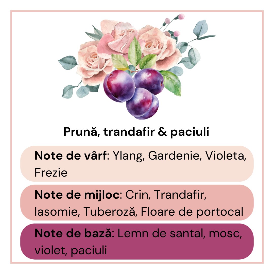 Plum,Rose & Patchouli