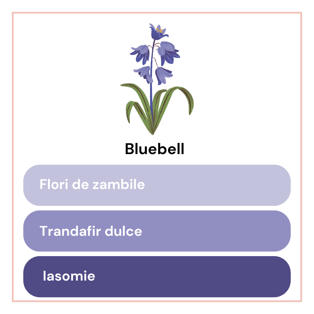 Bluebell