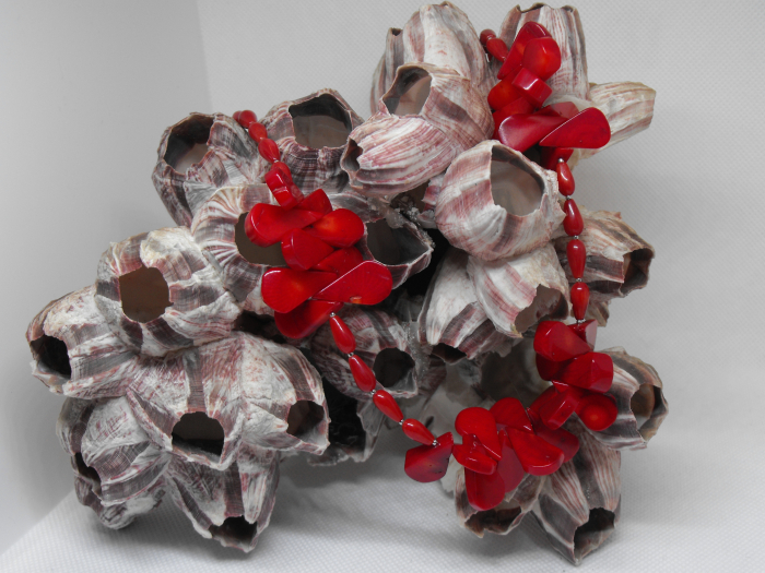 colier coral rosu [3]