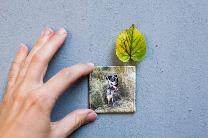Set 15 Magneti Metalici 5x5 cm cu Poza Personalizata [3]