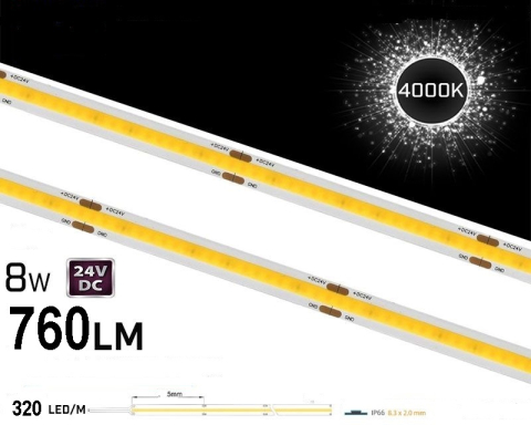 Bandă LED - Banda LED COB 320 LED/m 24V 4000K IP20 - rolă pe fundal alb