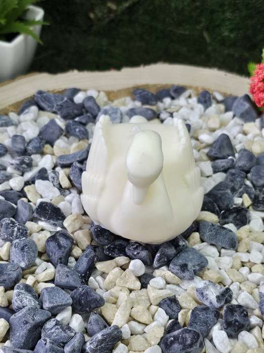 Eleganță în Alb – Mărturie Eveniment Special [5]