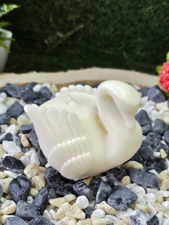 Eleganță în Alb – Mărturie Eveniment Special [5]