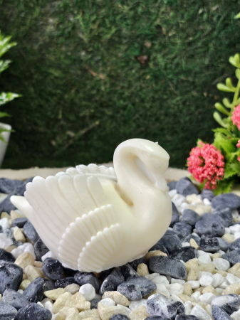 Clipe de Poveste – Mărturii de Nuntă - Eleganță în Alb – Mărturie Eveniment Special