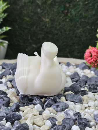 Eleganță în Alb – Mărturie Eveniment Special [2]