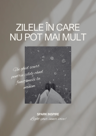 Resurse digitale - Mini-Workbook: Zilele în care nu pot mai mult
