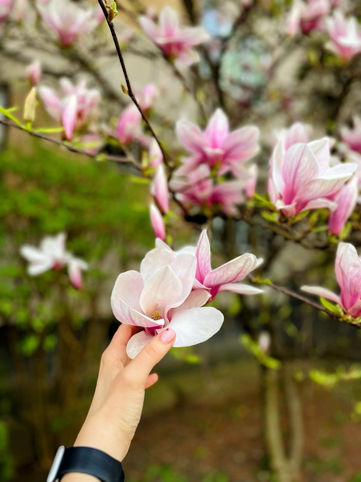 Când vii la mine să fii slab. Despre locurile în care nu trebuie să demonstrăm nimic ca să fim ținuți