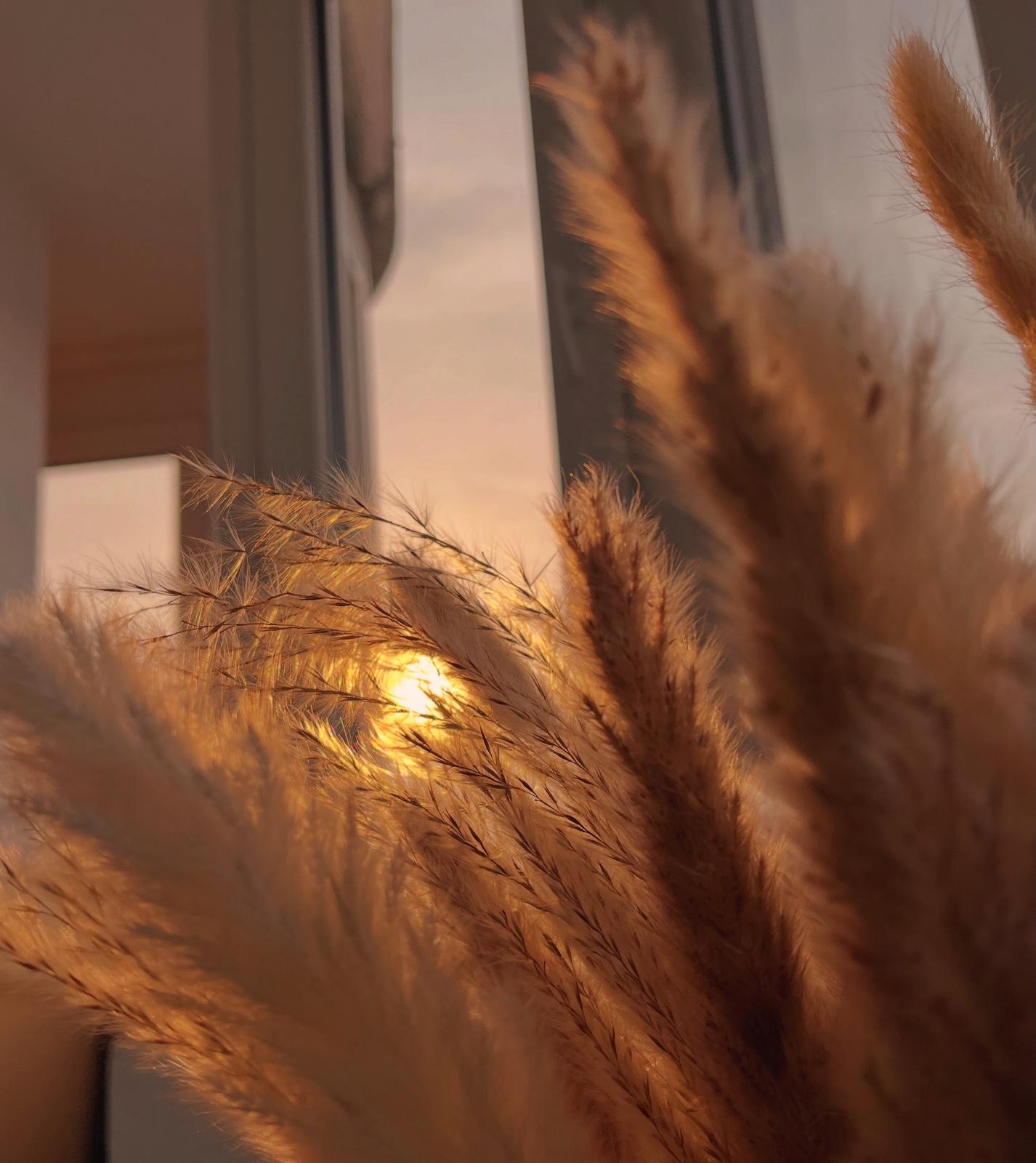 Triunghiul invizibil dintre noi. Despre felul în care o relație devine loc de creștere, nu de corectare