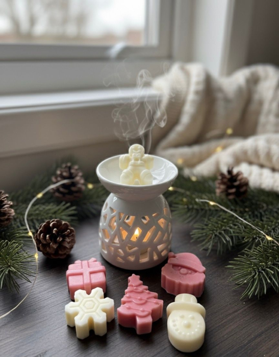 Pachet Difuzor + Ceara Parfumata / Wax Melts Vin fiert [1]