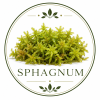 sphagnum premium CHILE