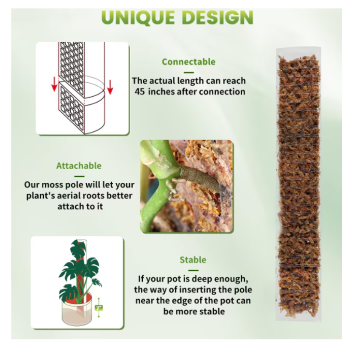 Stalp plante cataratoare, arac moss pole 120cm, semisferic, set cu muschi sphagnum premium [4]