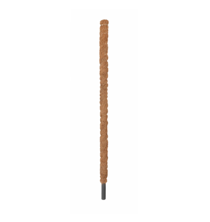 Araci fibra cocos - Arac din fibra cocos  pentru decor / sustinere plante decorative de apartament si gradina, premium. dimensiuni de la 50 la 180 cm