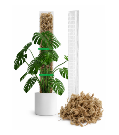 moss-pole-60cm-sphagnum-moss-premium-chile-monstera-philodendron [1]