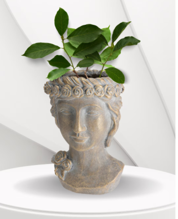 Ghiveci decorativ Greek Azay Design cap ceramic 33 cm [3]
