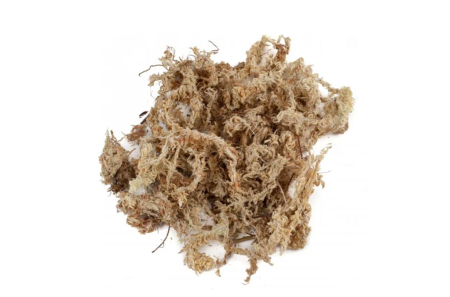 Sphagnum Premium din Chile – Calitate Premium - Muschi de Sphagnum Moss Premium uscat din Chile 500Grame volum 23-25Litri