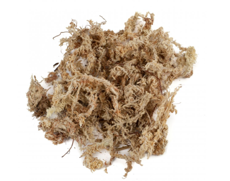 Sphagnum Premium din Chile – Calitate Premium - Muschi de Sphagnum Moss Premium vidat -uscat din Chile 5Litri