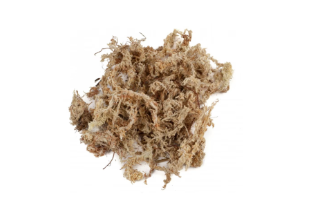 Sphagnum Premium din Chile – Calitate Premium - Muschi de Sphagnum Moss Premium vidat -uscat din Chile 7Litri