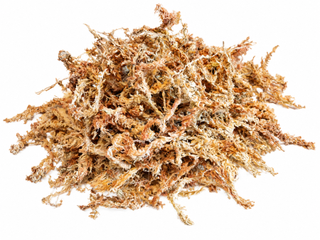 Mușchi Sphagnum Besgrow Spagmoss Supreme AAAAA 150g 12L – Noua Zeelandă [1]