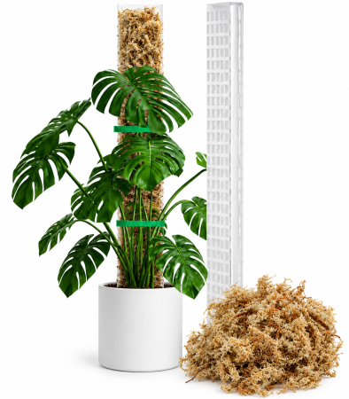 Accesorii pentru plante - Stalp plante cataratoare, arac moss pole 120cm, semisferic, set cu muschi sphagnum premium