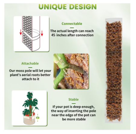 Stalp plante cataratoare, arac moss pole 120cm, semisferic, set cu muschi sphagnum premium [3]