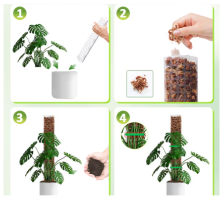 Stalp plante cataratoare, arac moss pole 120cm, semisferic, set cu muschi sphagnum premium [2]