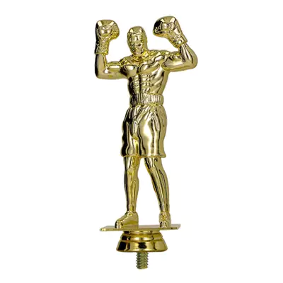 Cupe si Medalii - Figurina F248