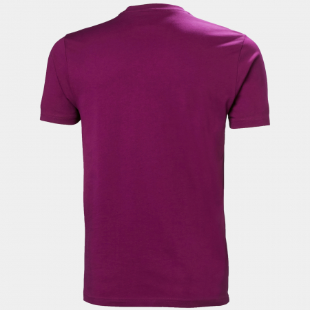 Tricou barbati Helly Hansen HH Box T [3]