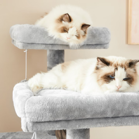 Ansamblu de Joaca Pentru Pisici SUPER TRENDS ®, Cat Tree, Inaltime 115 cm, 2 Culcusuri, Casuta si Stalpi cu Sisal, Gri [8]