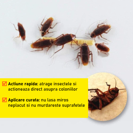 Gel Insecticid 30 g Model Seringa cu Aplicator SUPER TRENDS®, Pentru Interior si Exterior, Eliminare Gandaci si Insecte Taratoare, 1 buc [6]