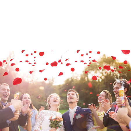 Set 2000 Buc Petale de Trandafir Rosii SUPER TRENDS®, Din Matase, Confeti Pentru Nunta, Baie, Pat, Petrecere, Ziua Indragostitilor [3]