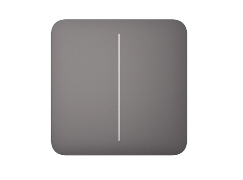 Centrale Antiefractie - BUTON GRI PENTRU LIGHTSWITCH 2-GANG