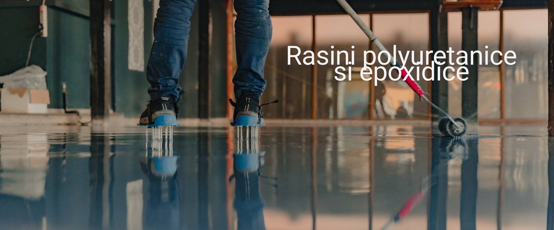 Rasini