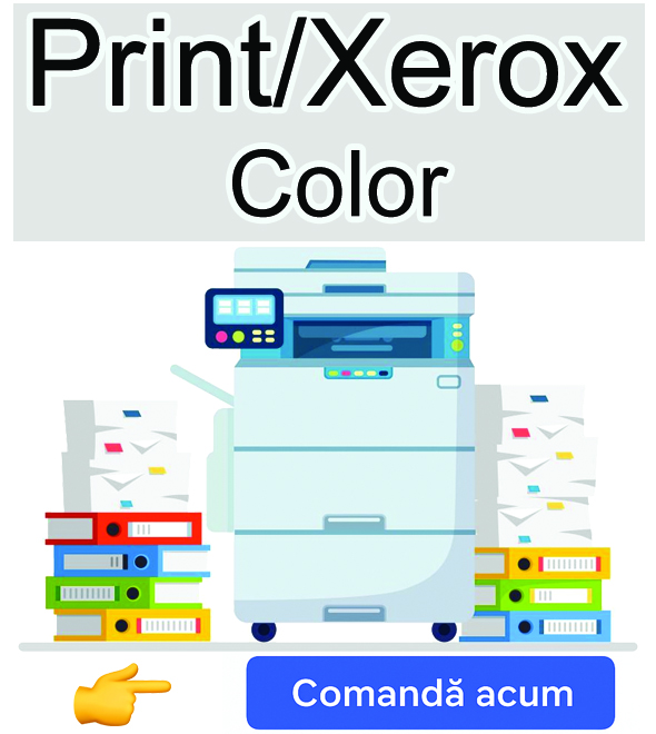 Banner Print XEROX COLOR