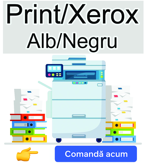 Banner Print xerox AN