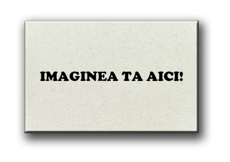 TABLOURI CANVAS - Print Tablou Canvas Imaginea TA