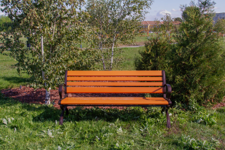 Bancă Dalia [4]