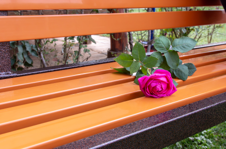 Bancă IRIS cu spătar [4]